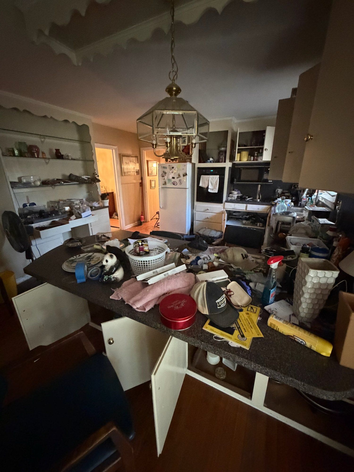 Original kitchen peninsula and cabinetry