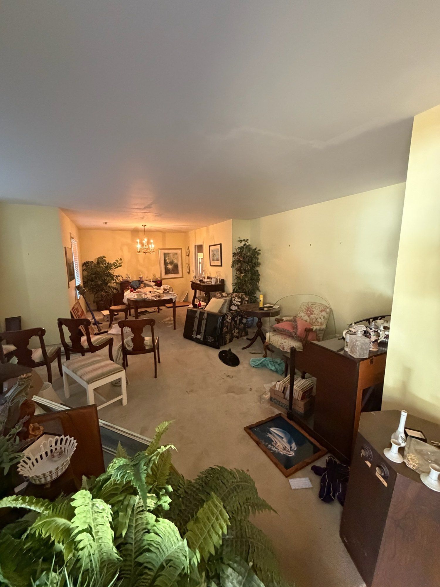 Original carpeted living and dining room