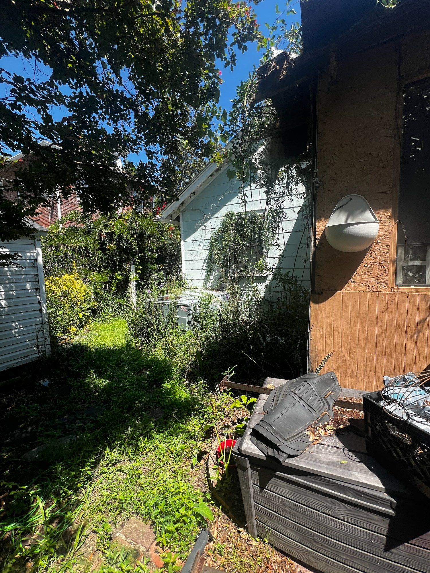 Overgrown side yard before renovation